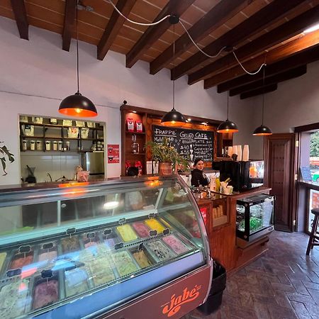 Hotel Casa Oratorio "Adults Only" San Miguel de Allende Dış mekan fotoğraf